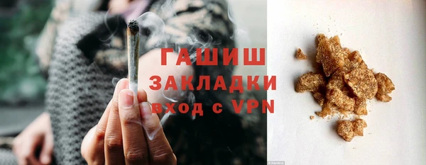 шишки Ельня
