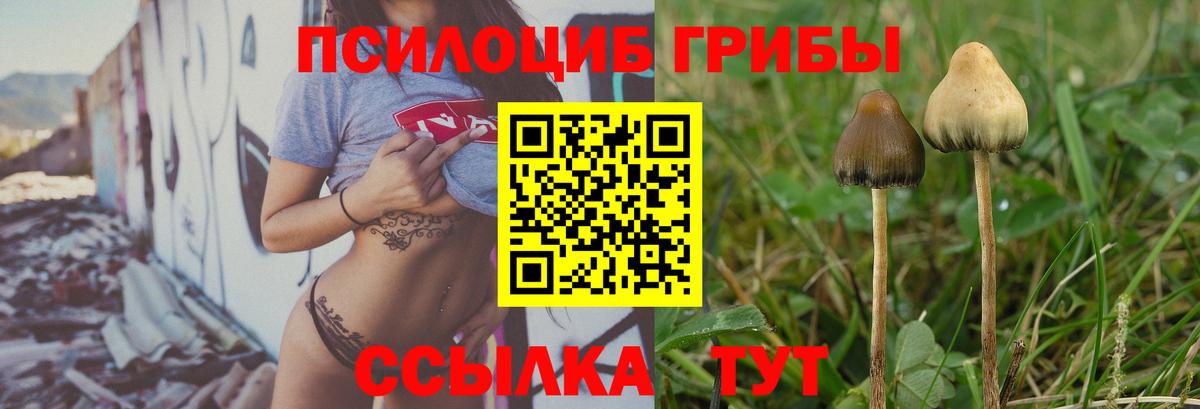 Луховицы  Псилоцибиновые грибы GOLDEN TEACHER  Галлюциногенные грибы MAGIC MUSHROOMS  Вход с VPN 