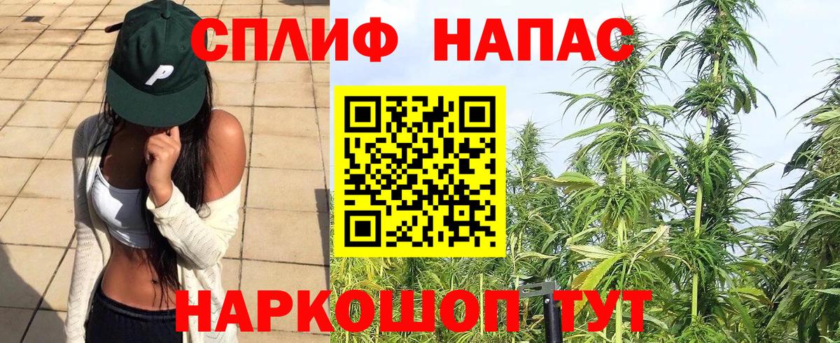 Конопля Ganja Луховицы